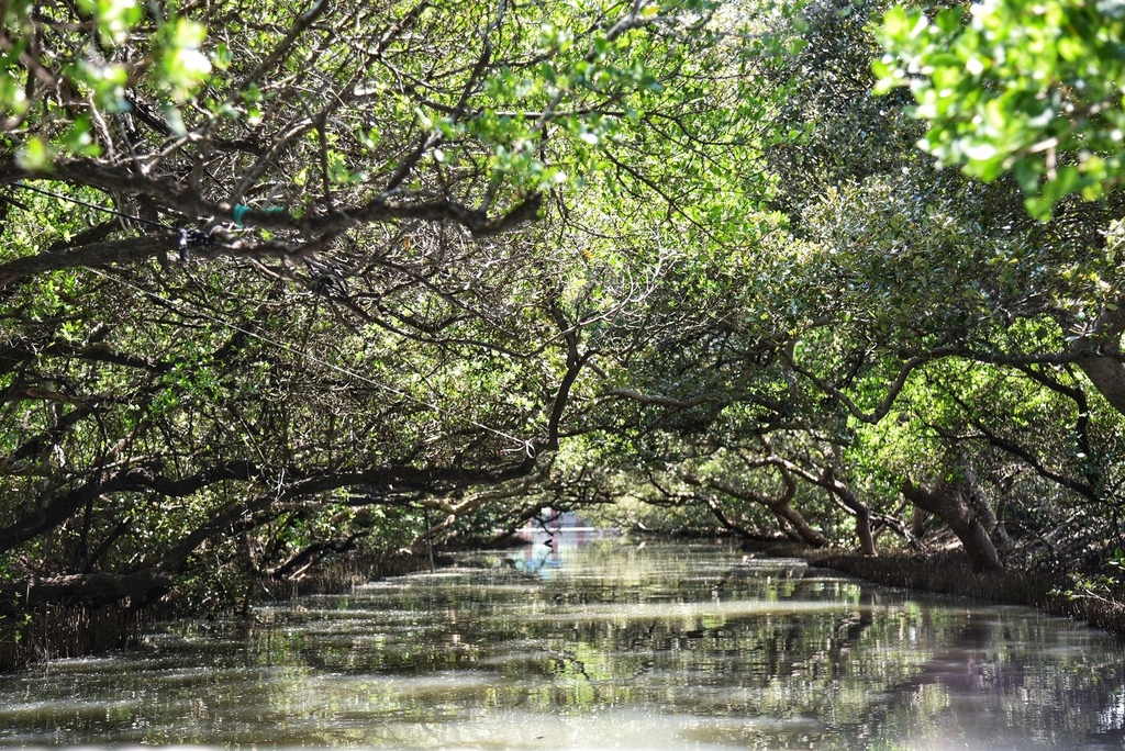臺南100亮點主題推薦|臺南7月主題月旅遊指南 關仔嶺溫泉風