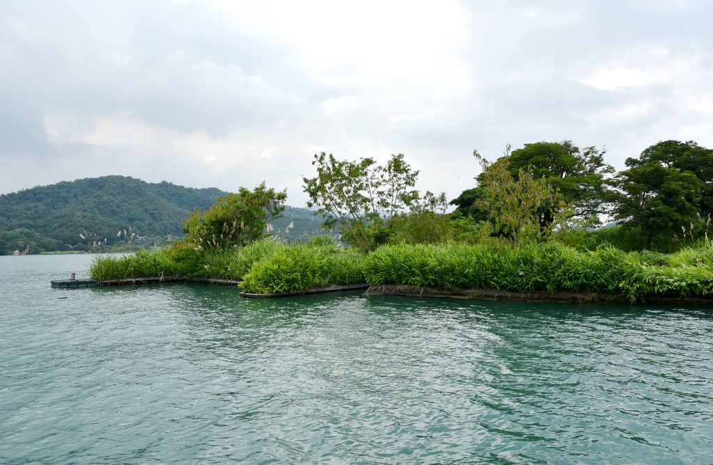 南投魚池鄉｜環保再進化！日月潭電動船升級，美食音樂打造遊湖新