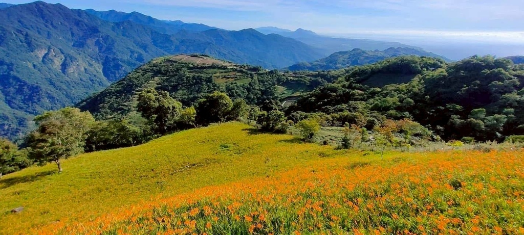 台東太麻里鄉|太麻里商圈景點美食全攻略 金針花海、美食景點一