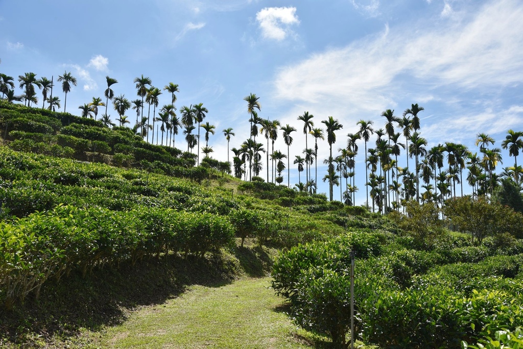 玩翻埔里！兩天一夜行程這樣排超好玩 在地人激推景點美食 寓教