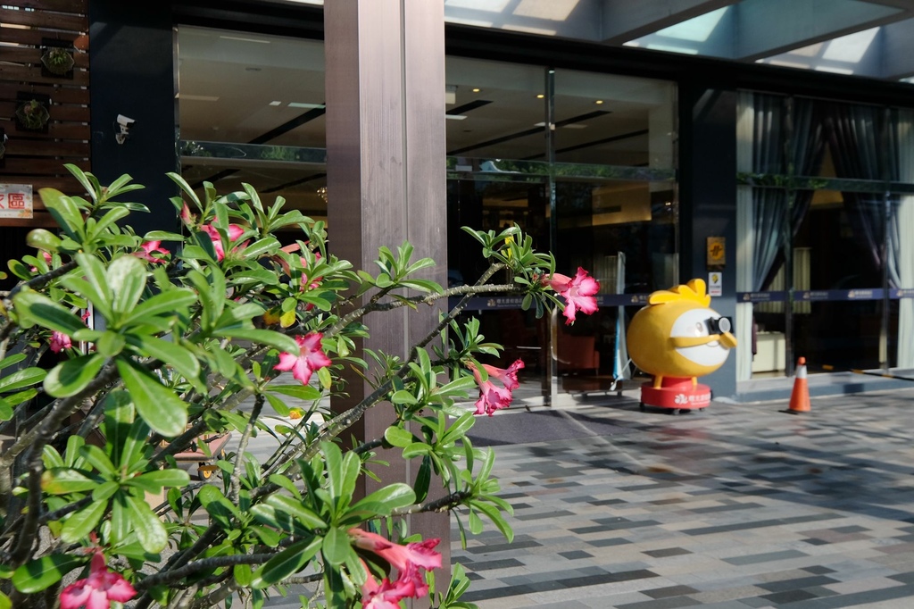 台東太麻里住宿推薦｜曙光渡假酒店 太麻里鄉親子平價旅宿選擇 