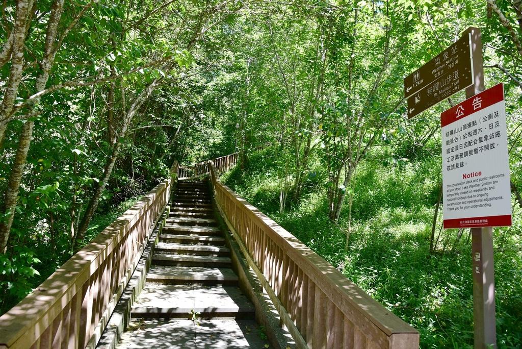 南投魚池鄉｜環保再進化！日月潭電動船升級，美食音樂打造遊湖新