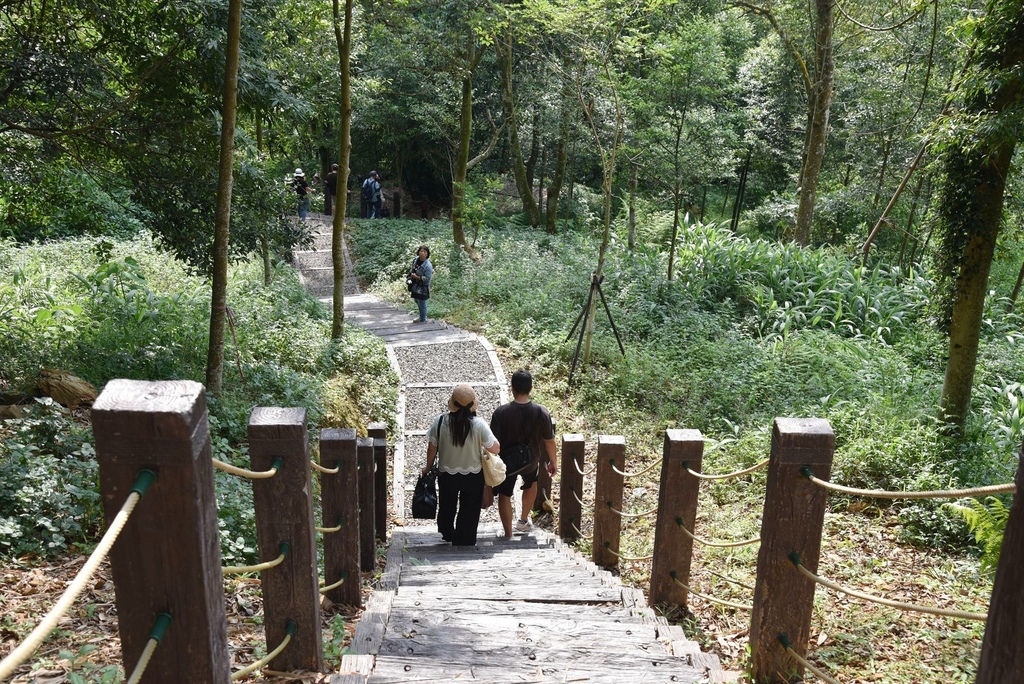 玩翻埔里！兩天一夜行程這樣排超好玩 在地人激推景點美食 寓教