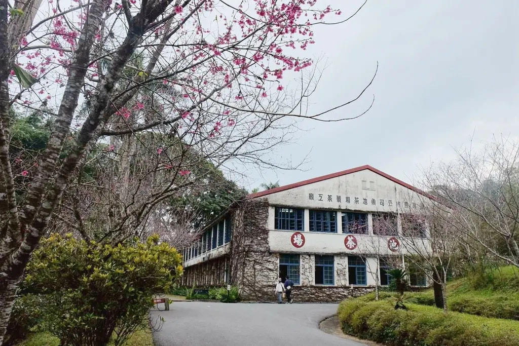 南投魚池鄉｜環保再進化！日月潭電動船升級，美食音樂打造遊湖新