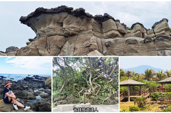 台中步道秘境！長壽山步道全台最大香杉林天然冷氣超涼爽，夏日避暑首選。