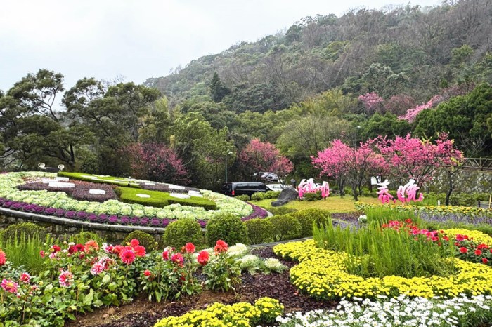 台中步道秘境！長壽山步道全台最大香杉林天然冷氣超涼爽，夏日避暑首選。