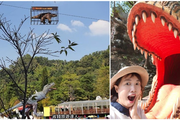 台中步道秘境！長壽山步道全台最大香杉林天然冷氣超涼爽，夏日避暑首選。