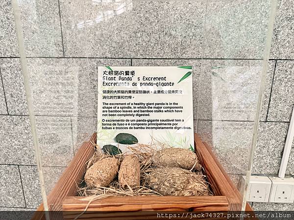 {澳門旅遊}澳門親子免費景點/石排灣郊野公園 大熊貓館，竟然