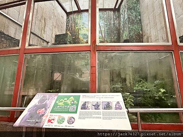 {澳門旅遊}澳門親子免費景點/石排灣郊野公園 大熊貓館，竟然