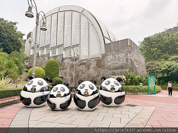 {澳門旅遊}澳門親子免費景點/石排灣郊野公園 大熊貓館，竟然