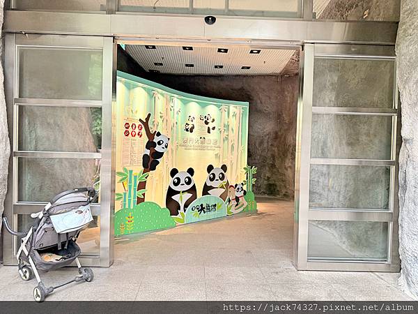 {澳門旅遊}澳門親子免費景點/石排灣郊野公園 大熊貓館，竟然