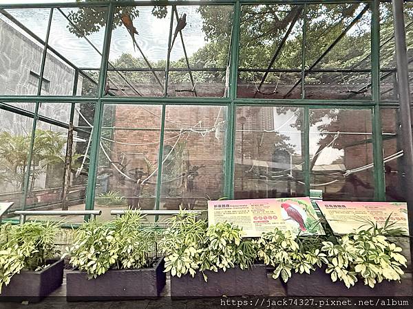 {澳門旅遊}澳門親子免費景點/石排灣郊野公園 大熊貓館，竟然