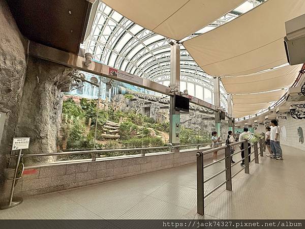 {澳門旅遊}澳門親子免費景點/石排灣郊野公園 大熊貓館，竟然