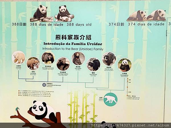 {澳門旅遊}澳門親子免費景點/石排灣郊野公園 大熊貓館，竟然