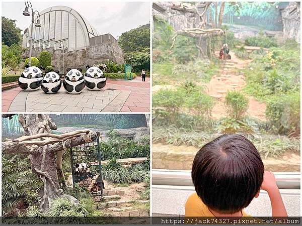 {澳門旅遊}澳門親子免費景點/石排灣郊野公園 大熊貓館，竟然