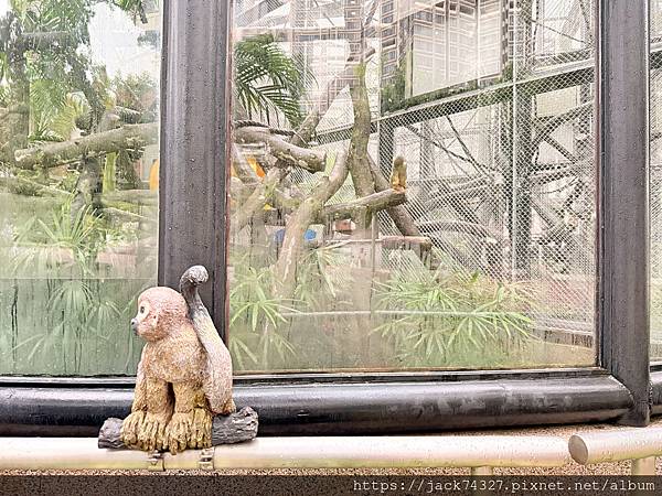 {澳門旅遊}澳門親子免費景點/石排灣郊野公園 大熊貓館，竟然