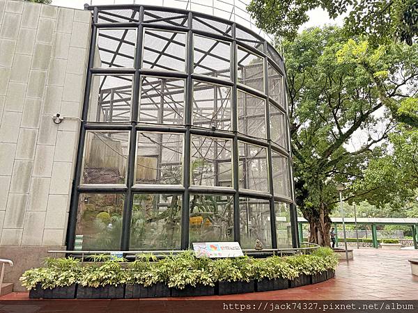 {澳門旅遊}澳門親子免費景點/石排灣郊野公園 大熊貓館，竟然