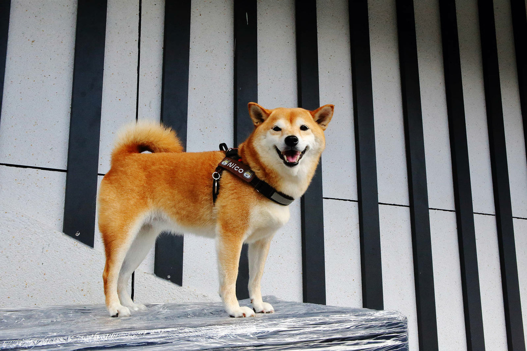 全新龜吼漁夫市集，一樓32攤生鮮攤位、二樓12家代客料理餐廳