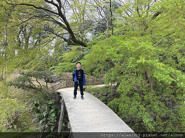 【日本香川遊記】米其林三星美景推薦｜栗林公園四季皆美的日式庭