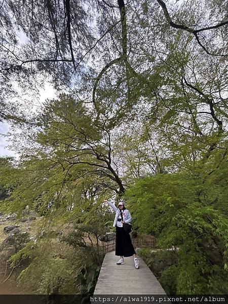 【日本香川遊記】米其林三星美景推薦｜栗林公園四季皆美的日式庭