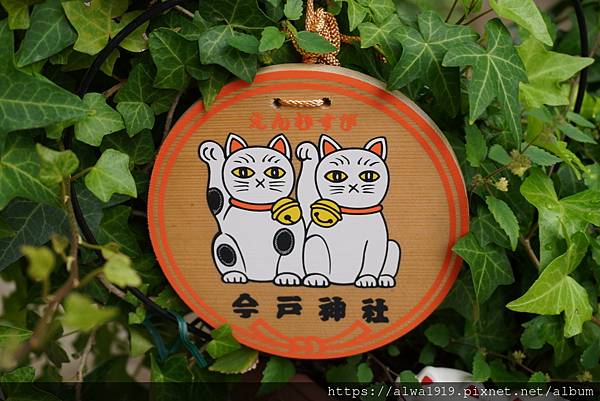 【東京旅遊！淺草景點】今戶神社：招財貓戀愛神社！可愛御守御神