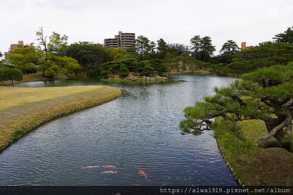 【日本香川遊記】米其林三星美景推薦｜栗林公園四季皆美的日式庭