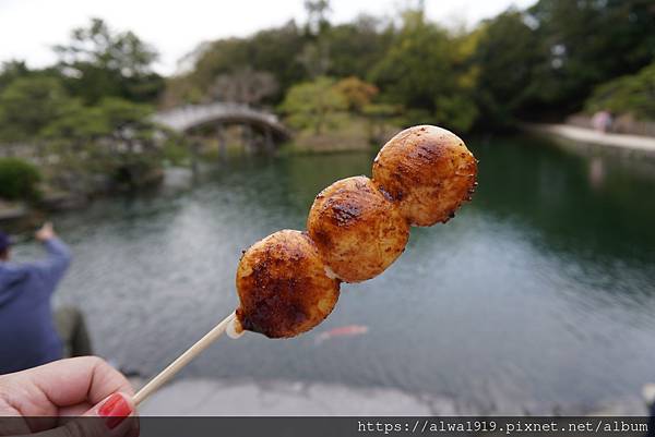 【日本香川遊記】米其林三星美景推薦｜栗林公園四季皆美的日式庭