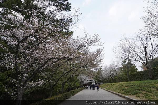 【日本香川遊記】米其林三星美景推薦｜栗林公園四季皆美的日式庭