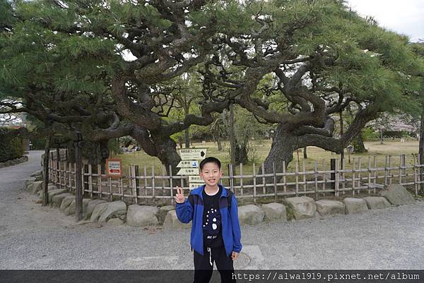 【日本香川遊記】米其林三星美景推薦｜栗林公園四季皆美的日式庭