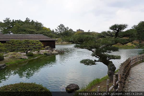 【日本香川遊記】米其林三星美景推薦｜栗林公園四季皆美的日式庭