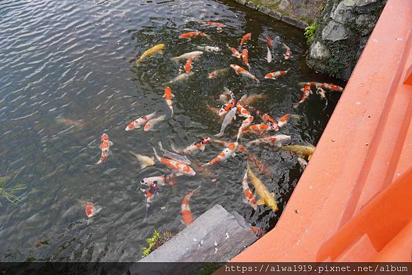 【日本香川遊記】米其林三星美景推薦｜栗林公園四季皆美的日式庭