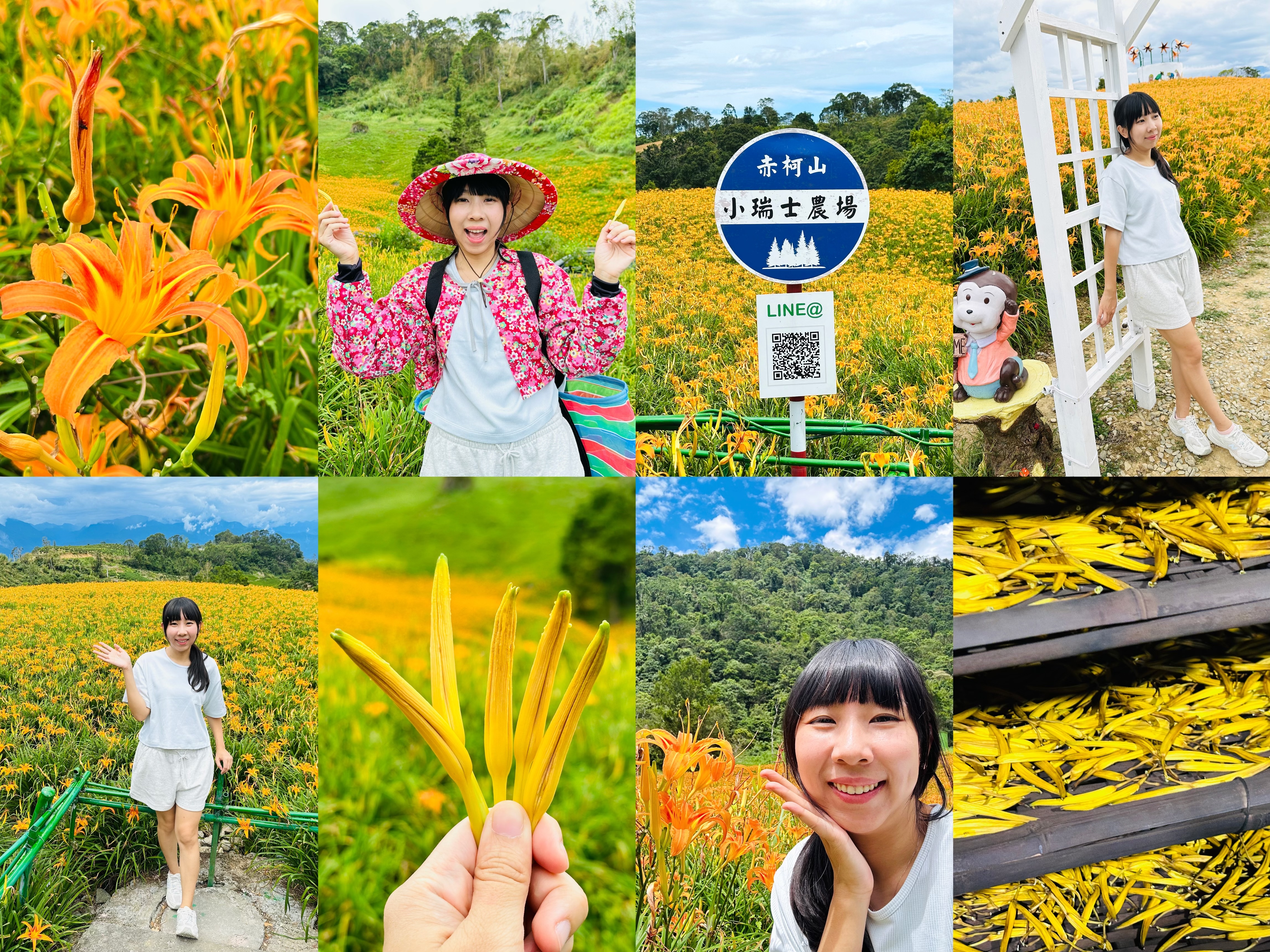 2025赤科山金針花季一日遊｜花海拍照秘境、窯燒金針體驗＋加