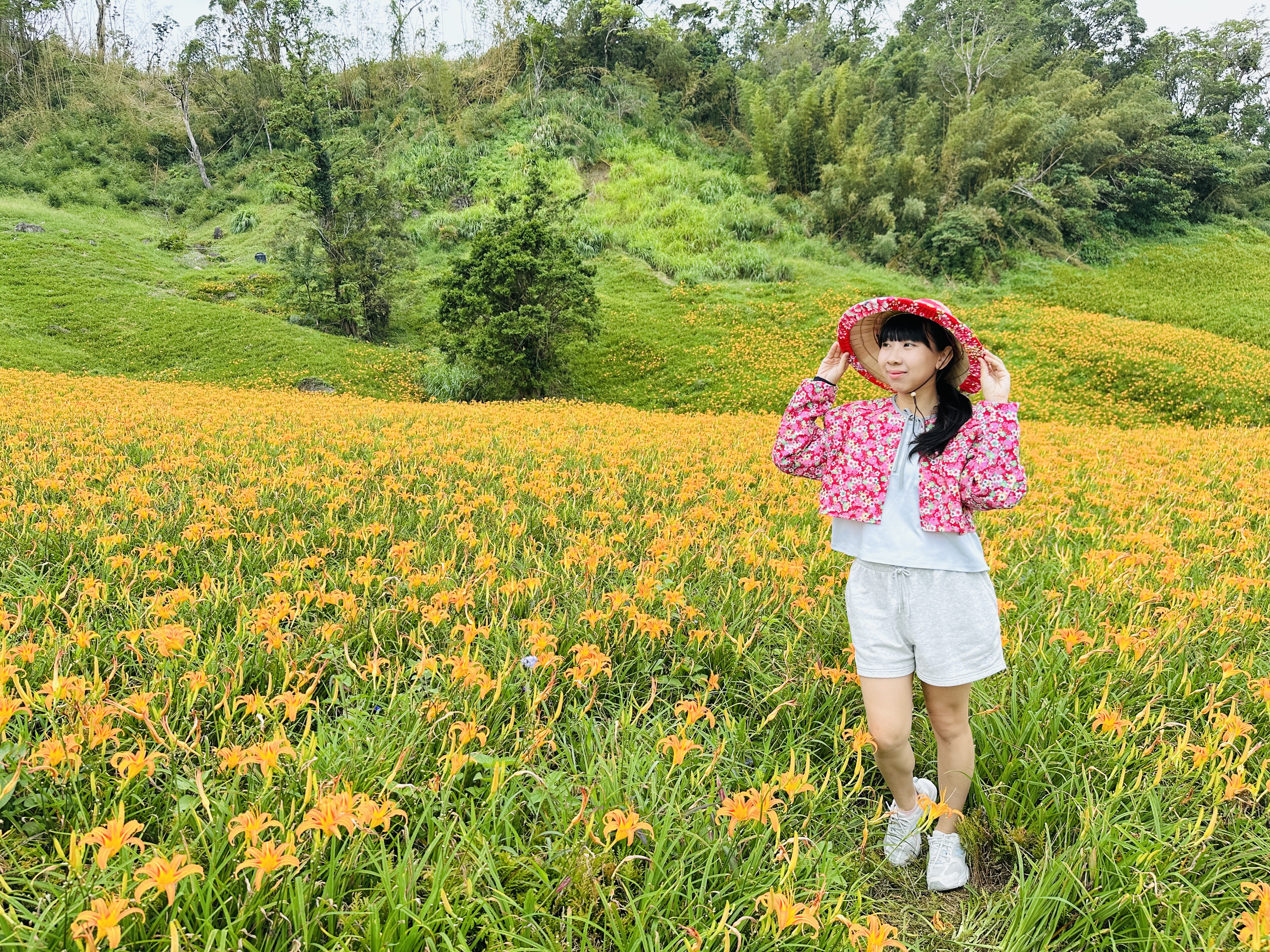 2025赤科山金針花季一日遊｜花海拍照秘境、窯燒金針體驗＋加