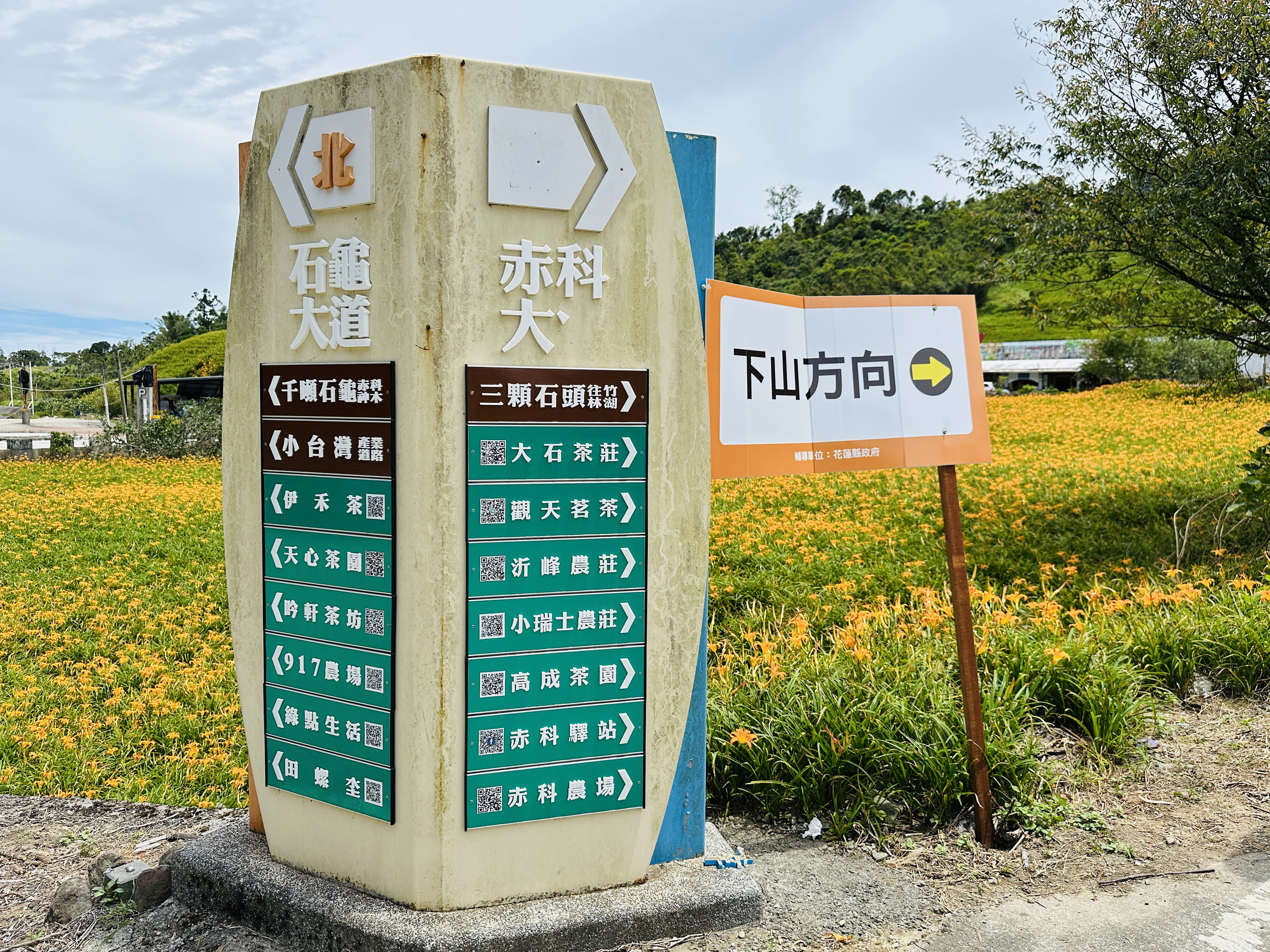 2025赤科山金針花季一日遊｜花海拍照秘境、窯燒金針體驗＋加