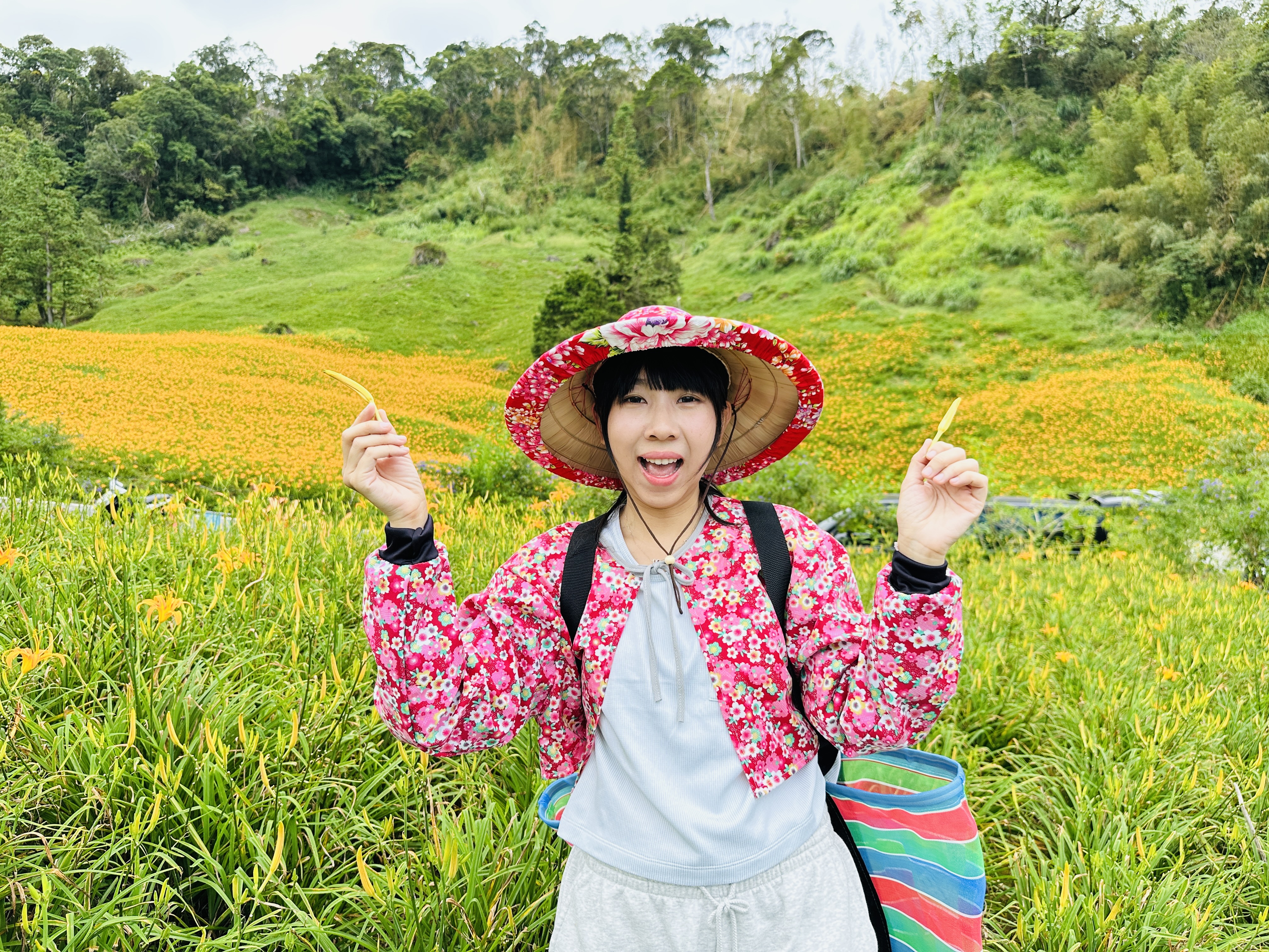 2025赤科山金針花季一日遊｜花海拍照秘境、窯燒金針體驗＋加
