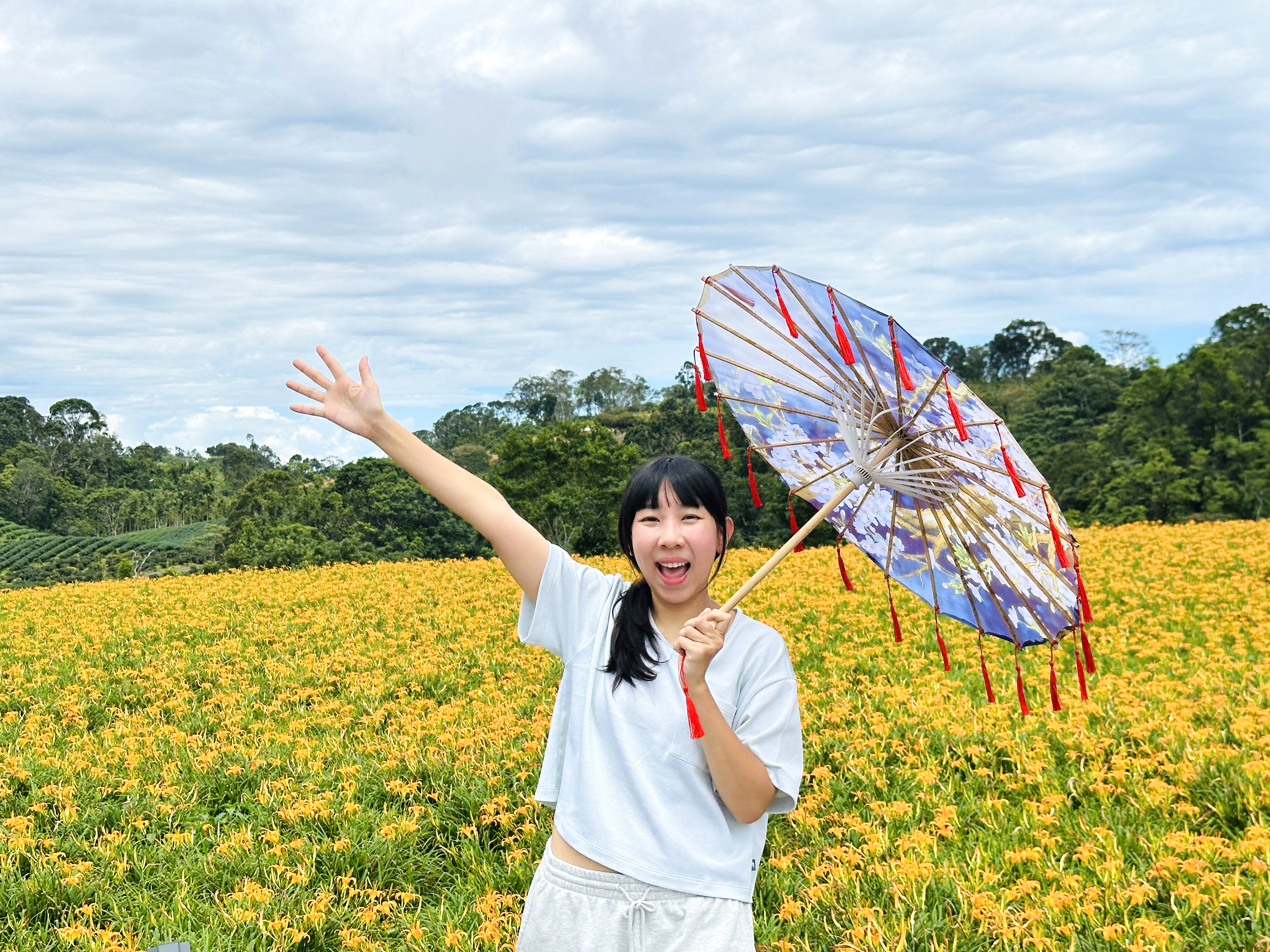 2025赤科山金針花季一日遊｜花海拍照秘境、窯燒金針體驗＋加