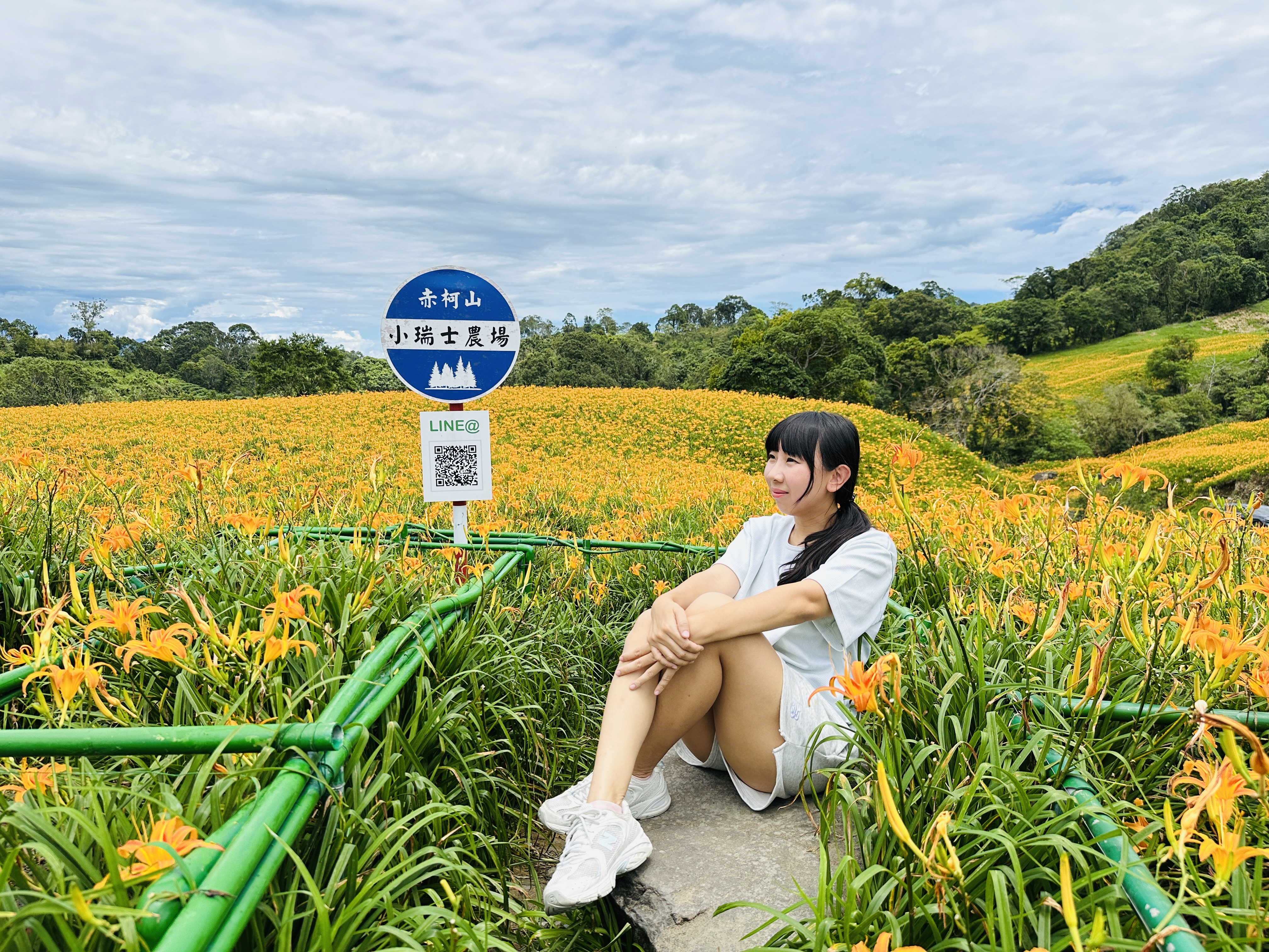 2025赤科山金針花季一日遊｜花海拍照秘境、窯燒金針體驗＋加