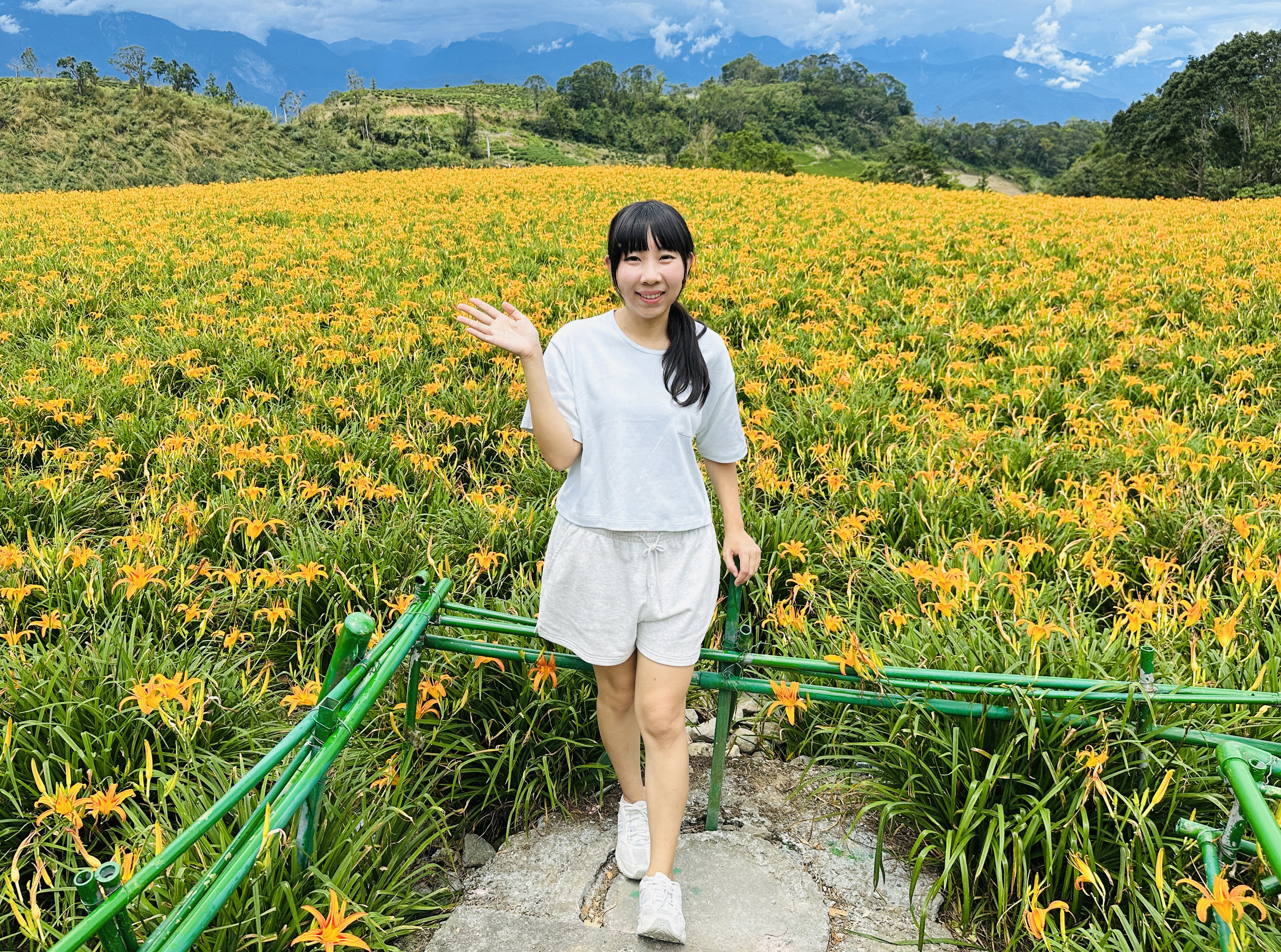 2025赤科山金針花季一日遊｜花海拍照秘境、窯燒金針體驗＋加