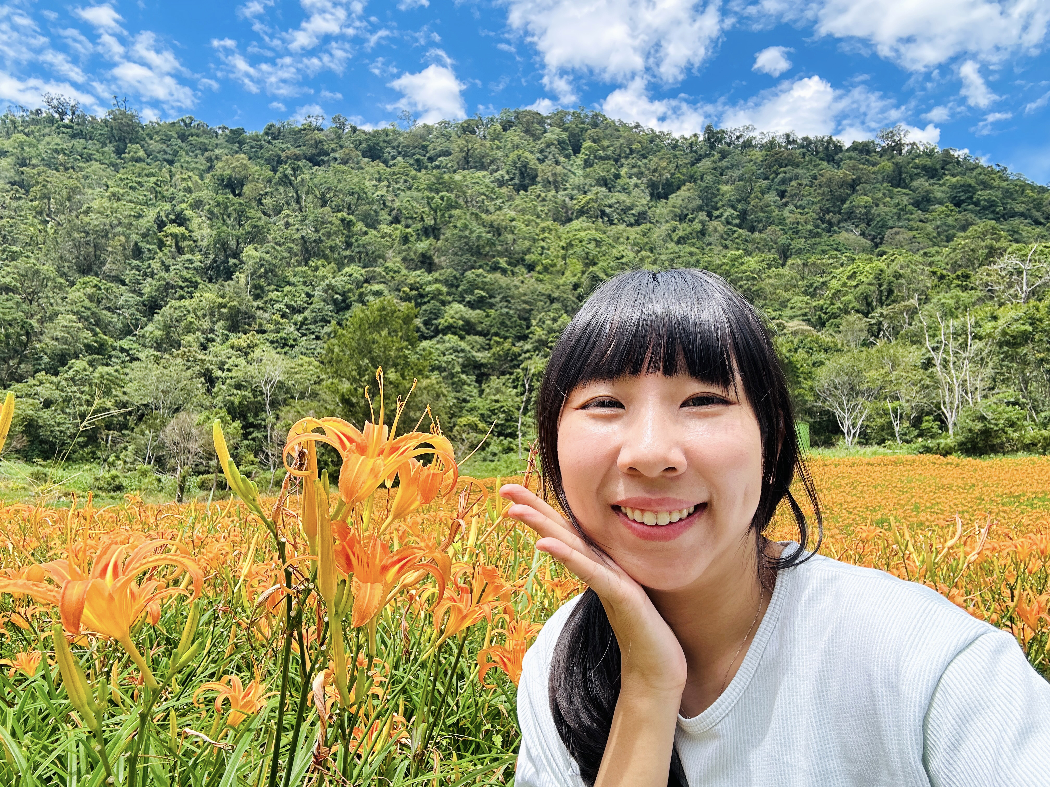 2025赤科山金針花季一日遊｜花海拍照秘境、窯燒金針體驗＋加