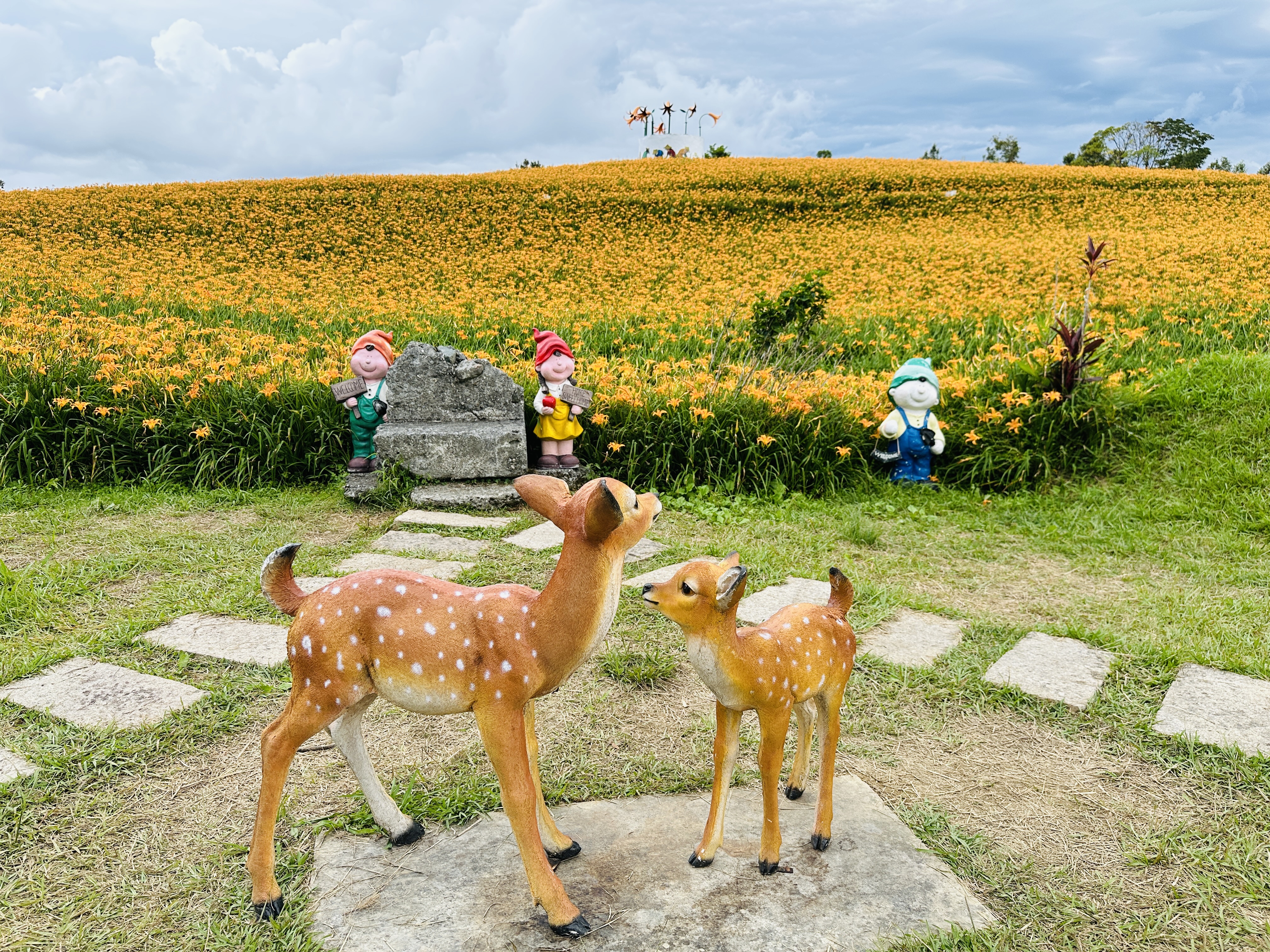 2025赤科山金針花季一日遊｜花海拍照秘境、窯燒金針體驗＋加