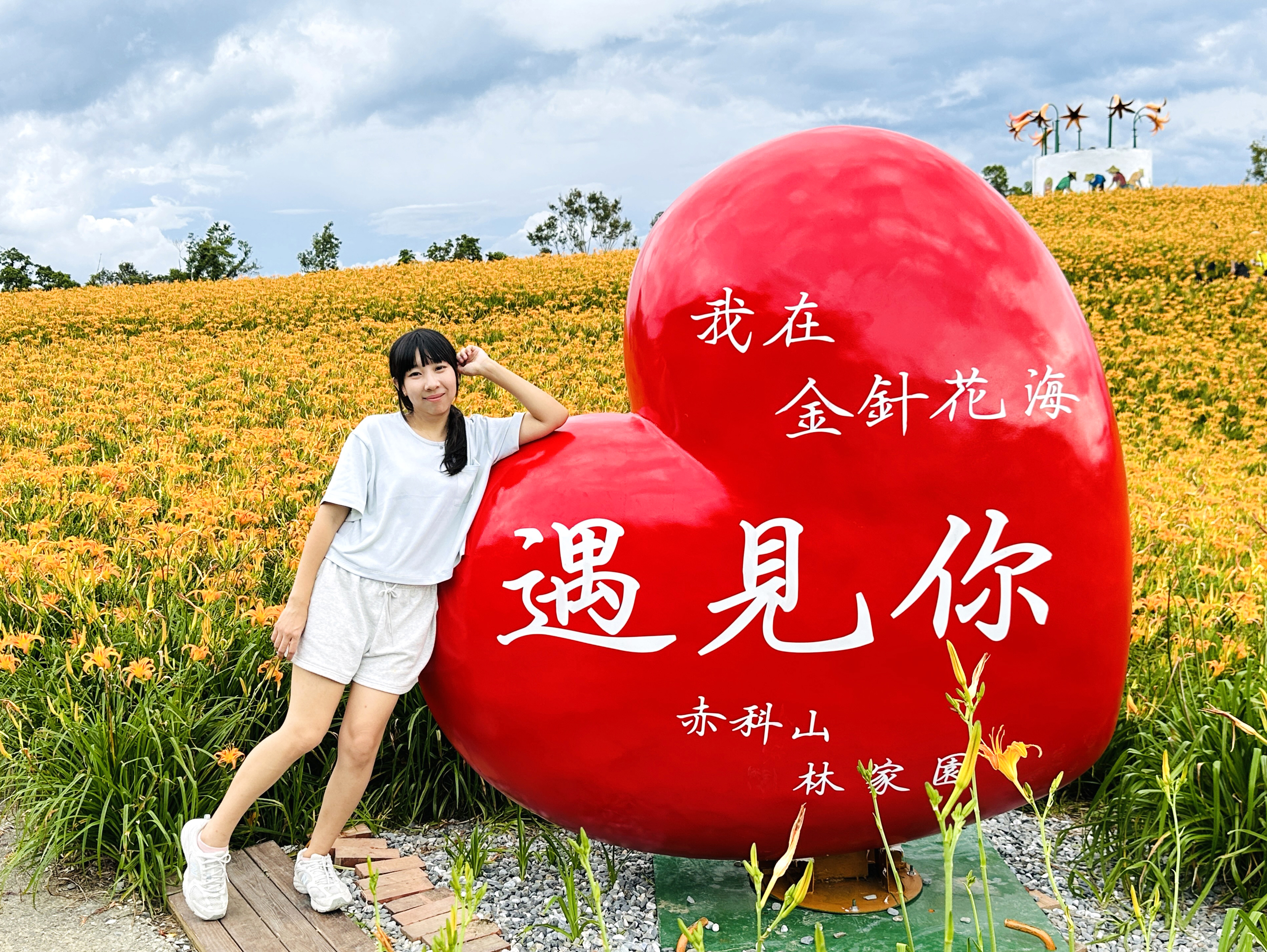 2025赤科山金針花季一日遊｜花海拍照秘境、窯燒金針體驗＋加