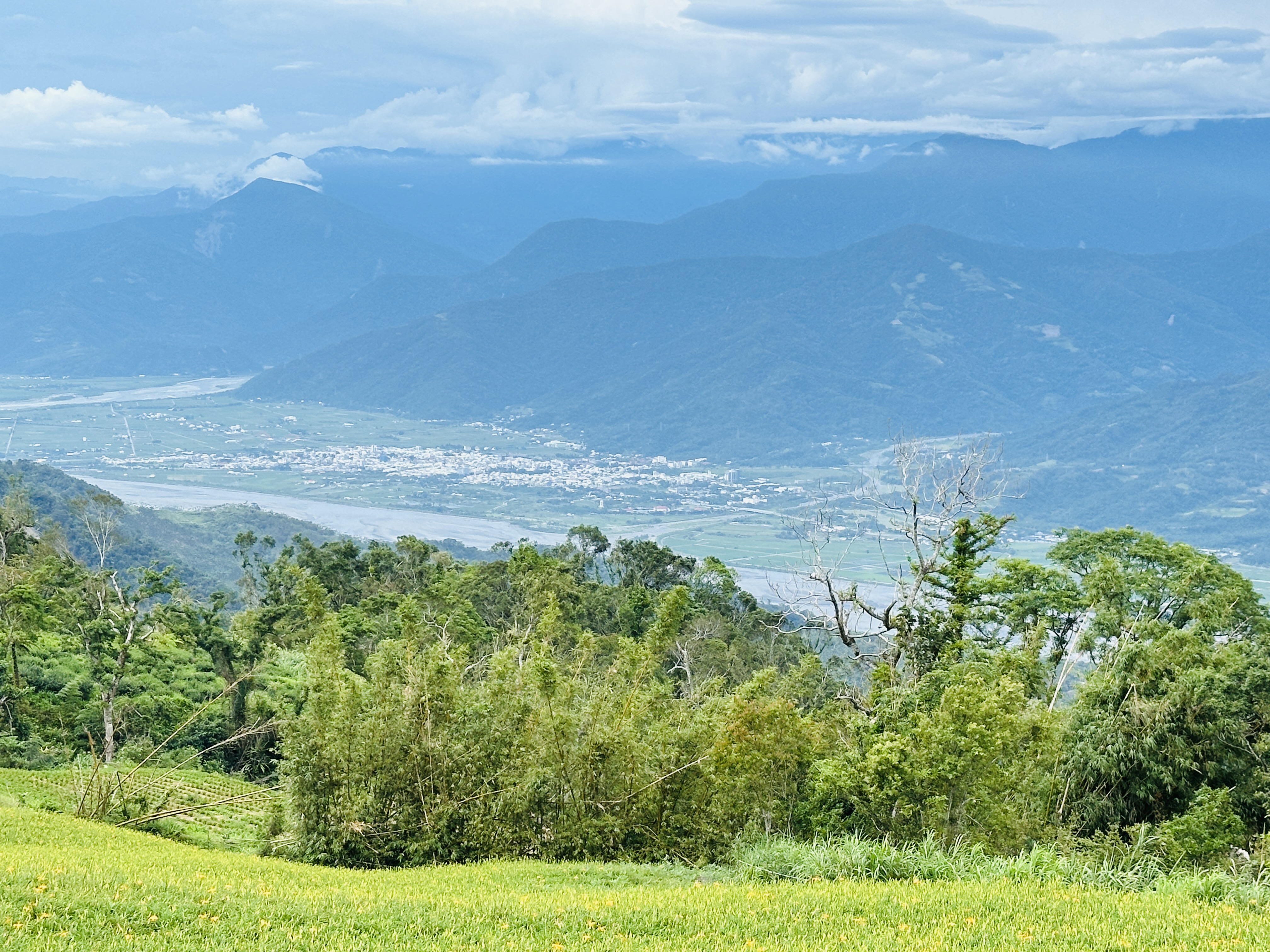 2025赤科山金針花季一日遊｜花海拍照秘境、窯燒金針體驗＋加