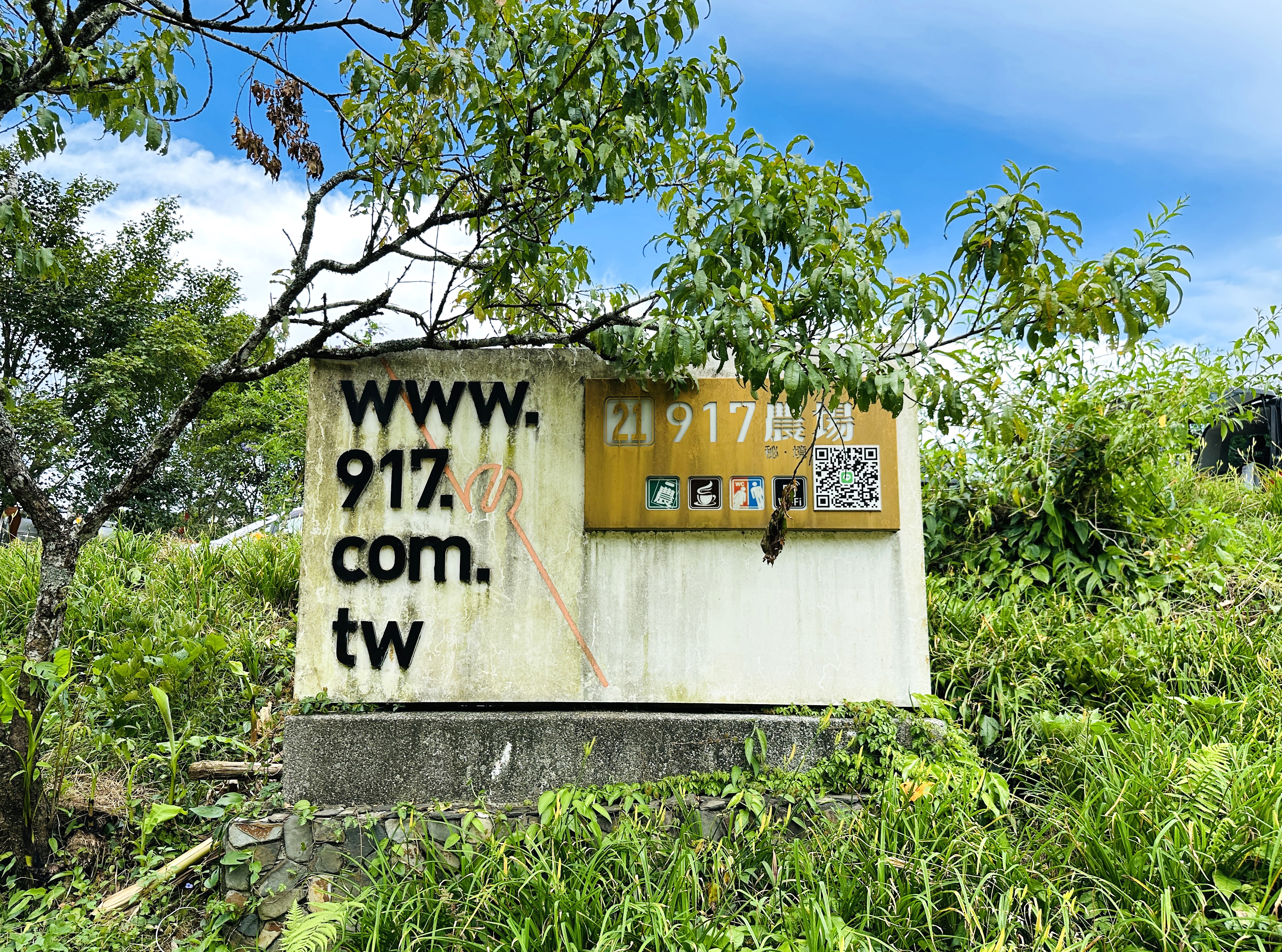 2025赤科山金針花季一日遊｜花海拍照秘境、窯燒金針體驗＋加