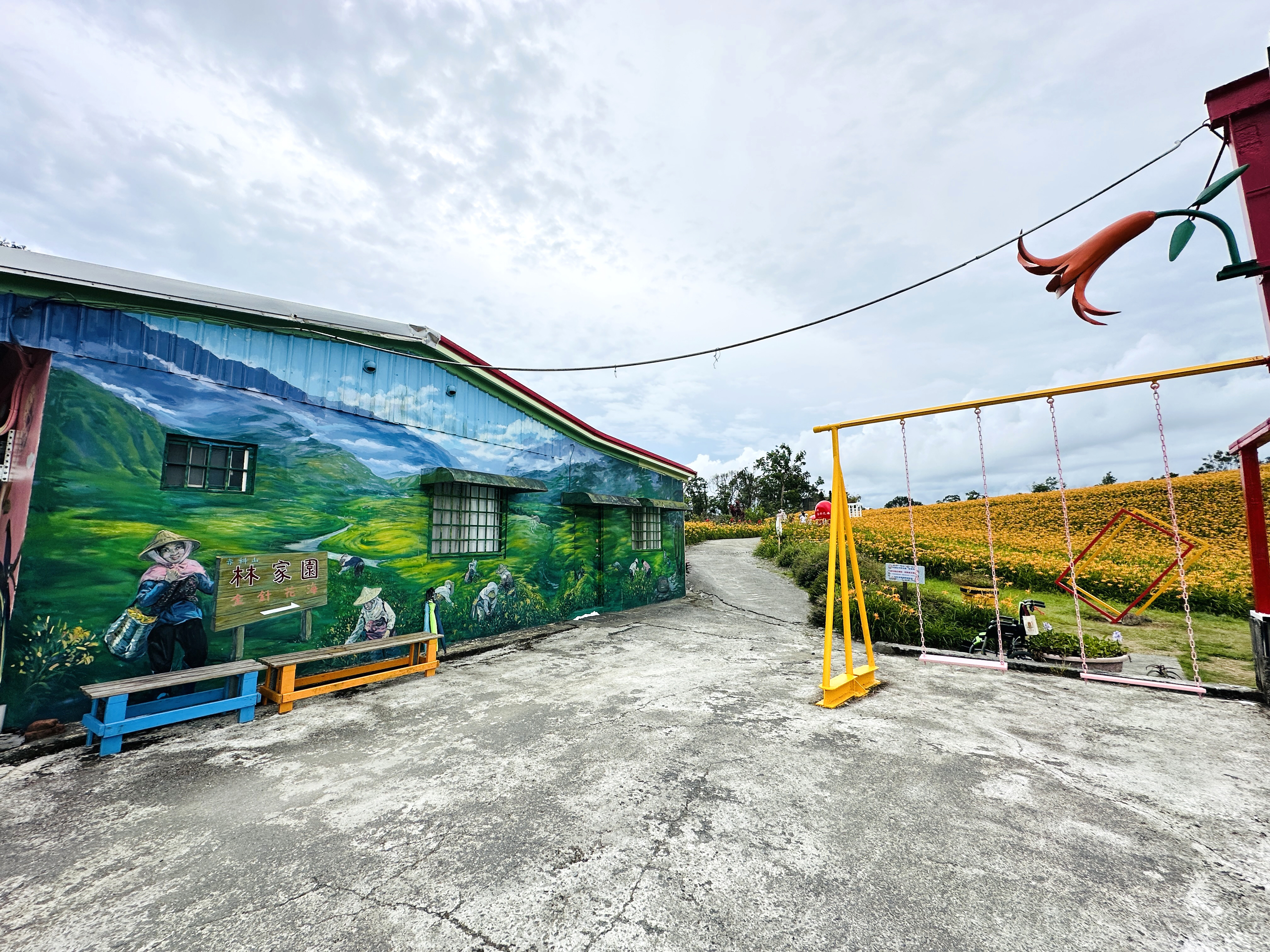 2025赤科山金針花季一日遊｜花海拍照秘境、窯燒金針體驗＋加