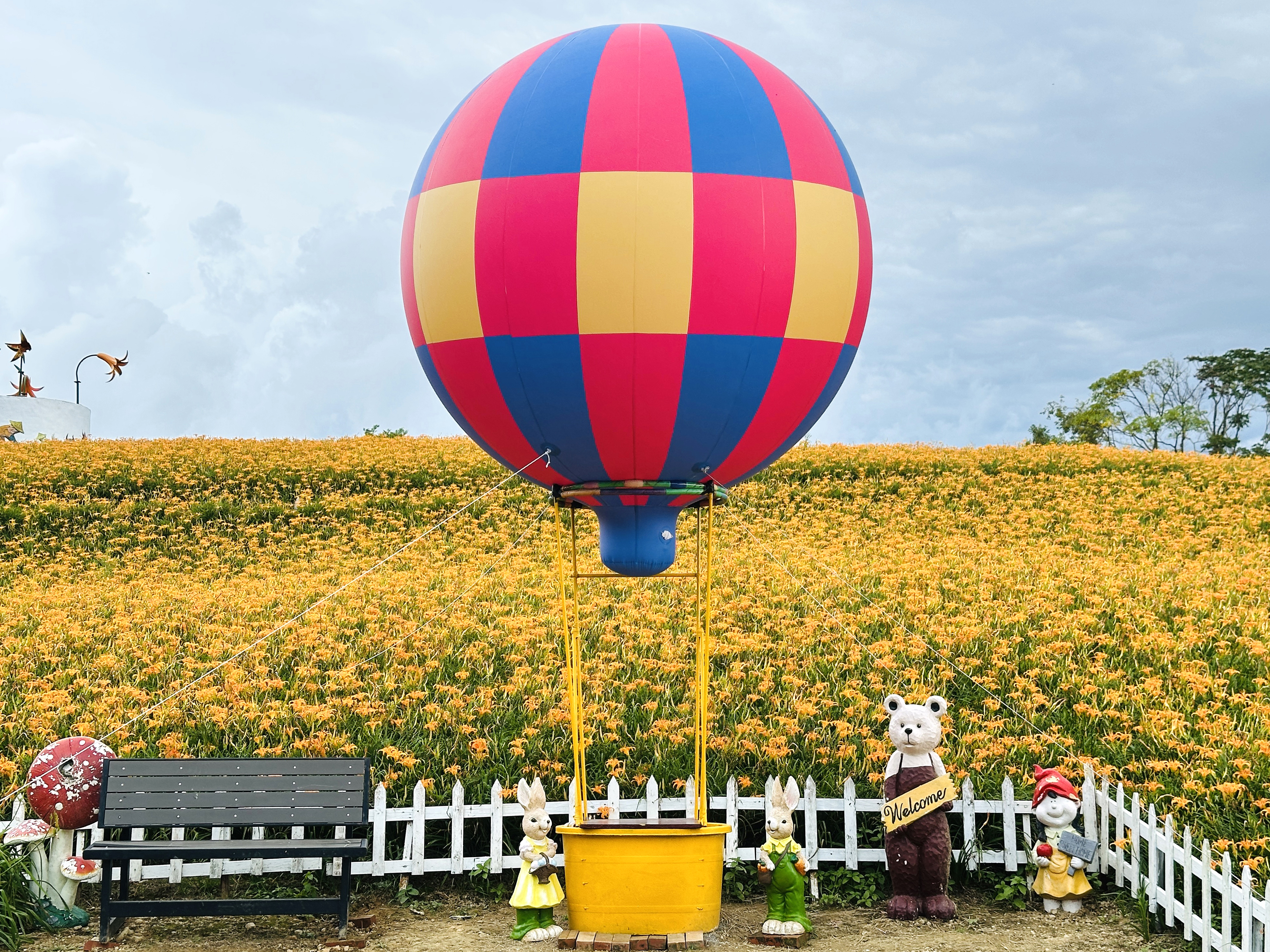2025赤科山金針花季一日遊｜花海拍照秘境、窯燒金針體驗＋加