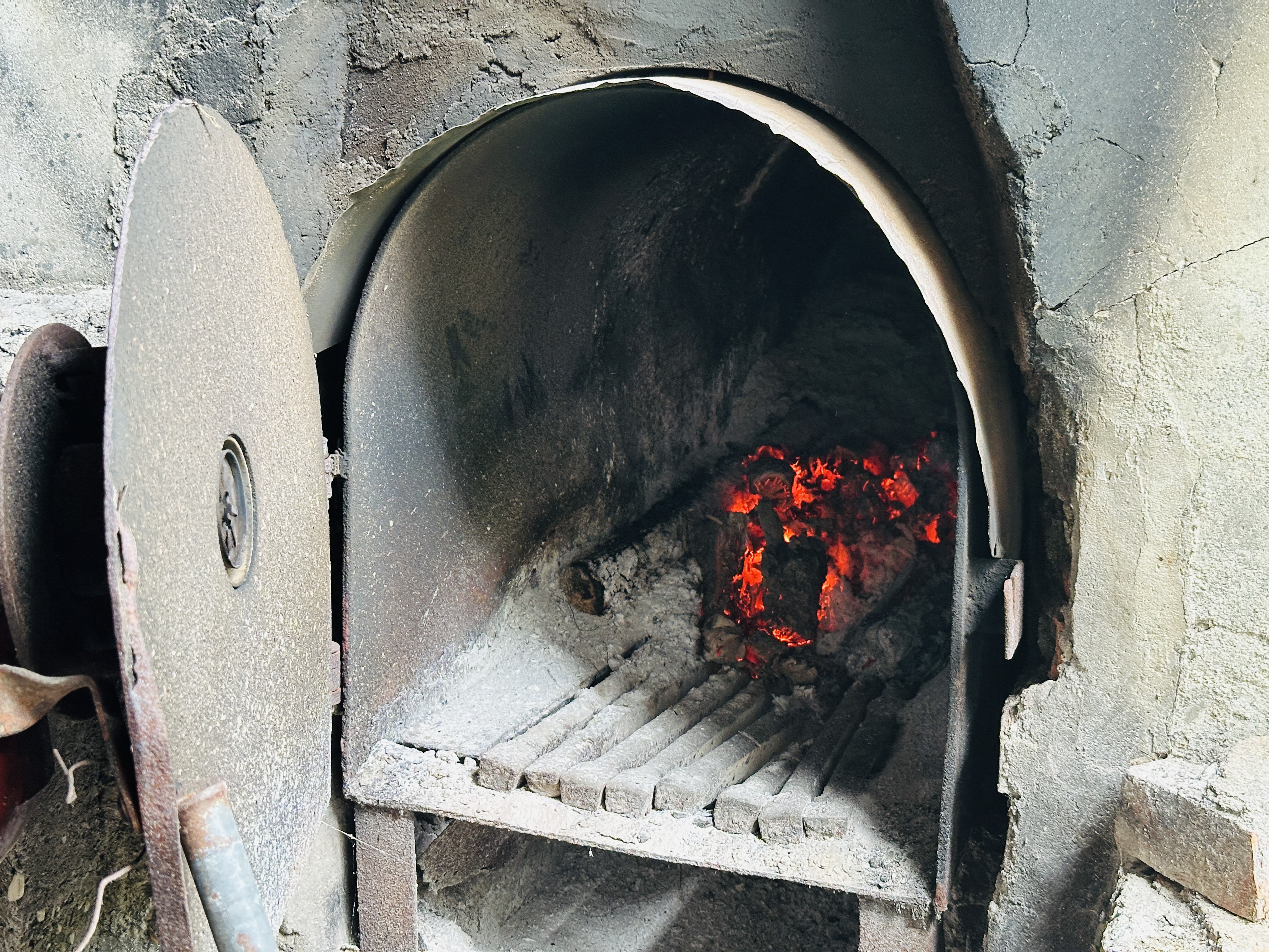2025赤科山金針花季一日遊｜花海拍照秘境、窯燒金針體驗＋加