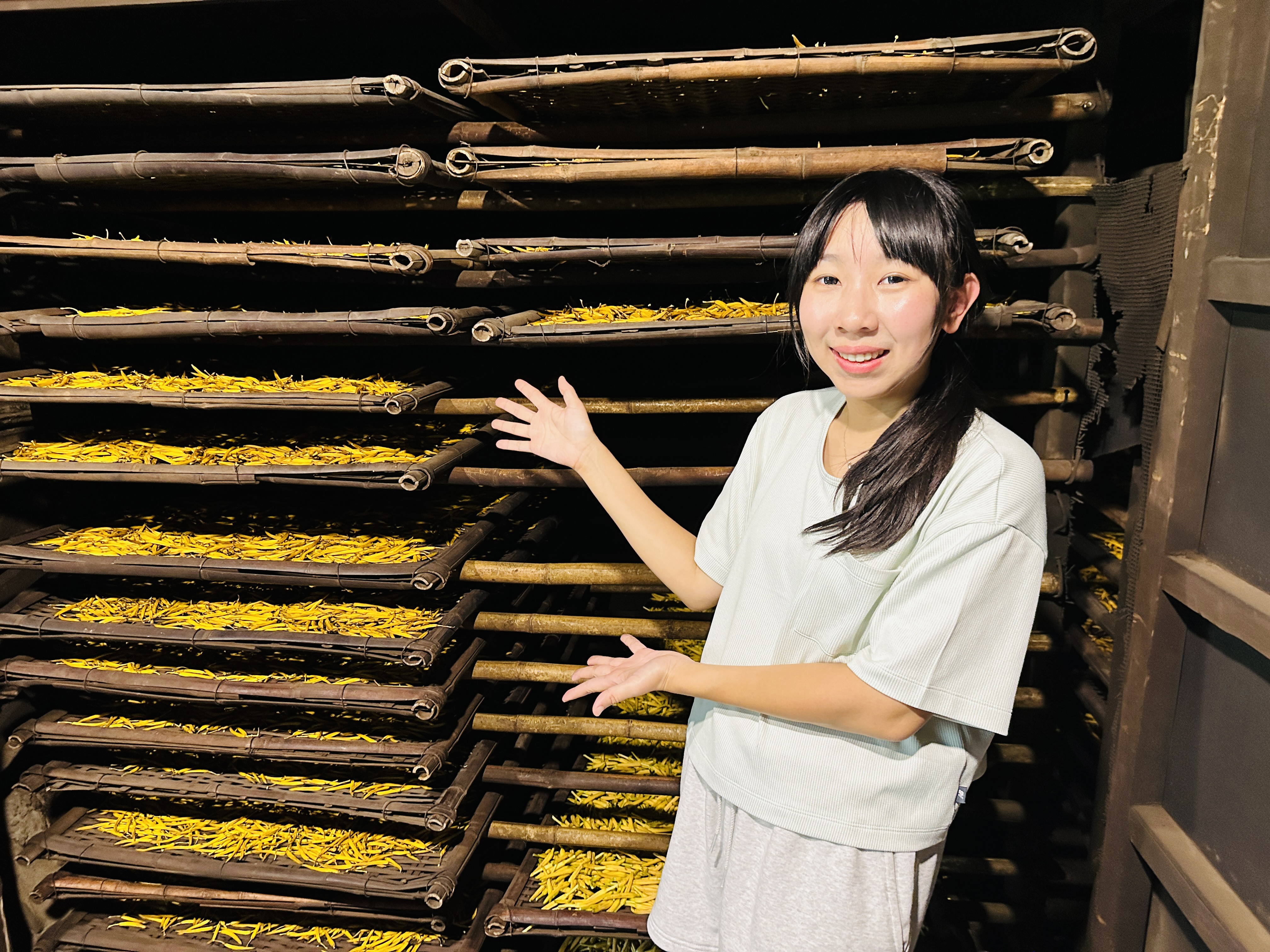 2025赤科山金針花季一日遊｜花海拍照秘境、窯燒金針體驗＋加