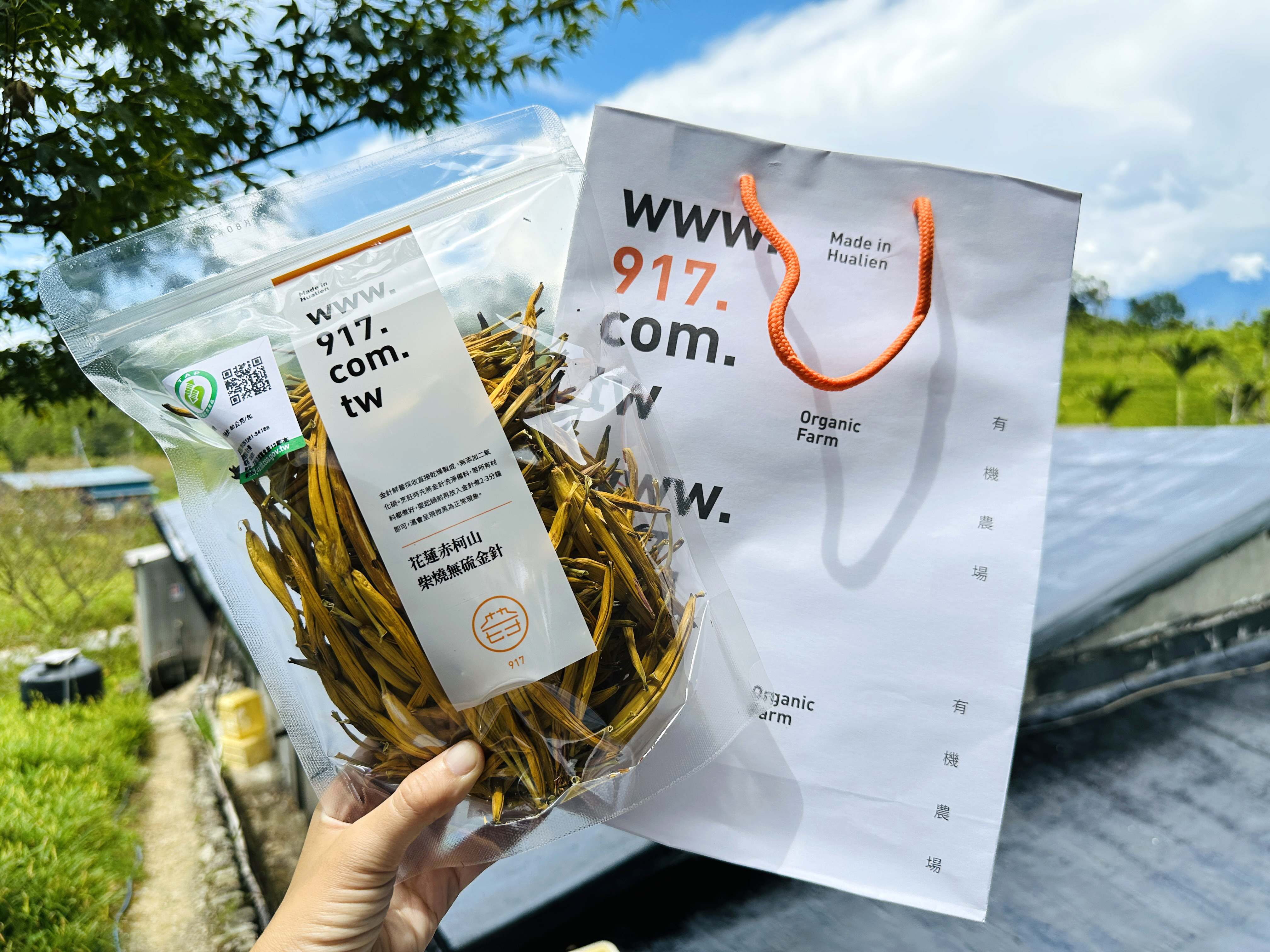 2025赤科山金針花季一日遊｜花海拍照秘境、窯燒金針體驗＋加