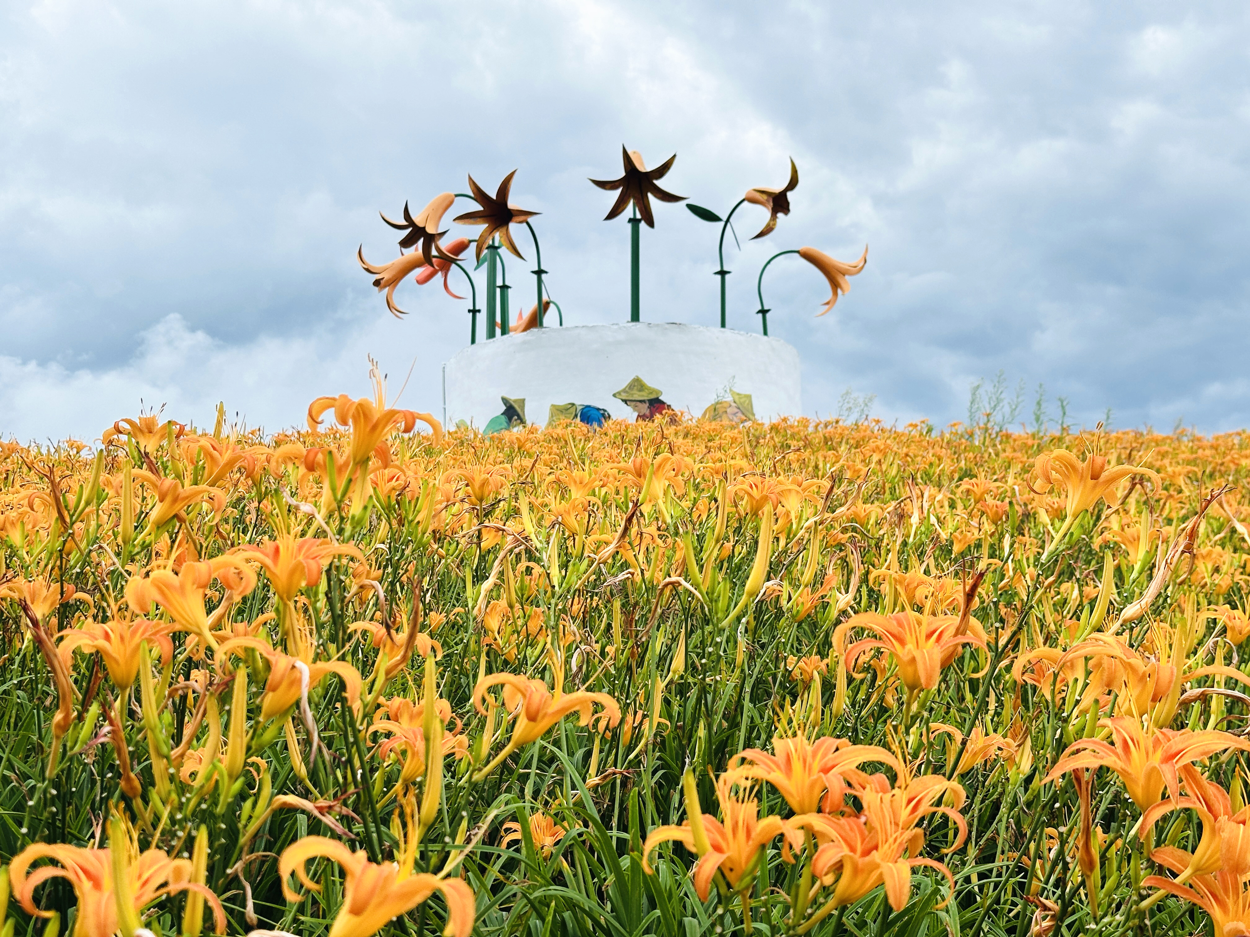 2025赤科山金針花季一日遊｜花海拍照秘境、窯燒金針體驗＋加