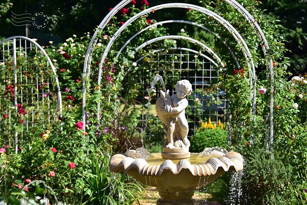 【雅聞魅力博物館】：玫瑰花園